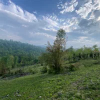 زمین روستایی (1500متری کوهپایه)  در شهرستان سیاهکل|فروش زمین و ملک کلنگی|رشت, گیل|دیوار