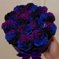 دسته گل کهکشانی