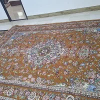روفرشی|روفرشی|گرگان, |دیوار