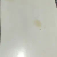 جلو مبلی|مبلمان خانگی و میز عسلی|فردیس, فردیس|دیوار