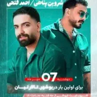 بلیط کنسرت شروین پناهی