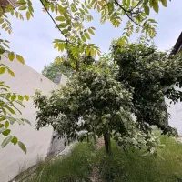 زمین-بر-خط
