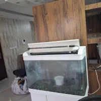 آکواریوم شیشه خم