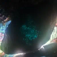 سنگ شب چراغ