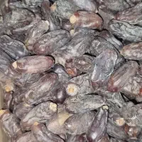 خرما ربی درجه 1