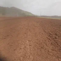مجوز پرواربندی