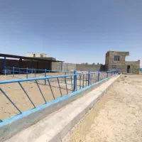 دامداری با پروانه بهرهبرداری
