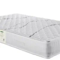 تشک دکتر ویستر