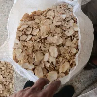 نیازمند موسیر|خدمات باغبانی و درختکاری|تهران, ونک|دیوار