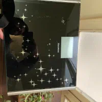 ترازو و سطل برنج یونیک