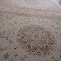 یک جفت فرش ۱۲ متری کرم