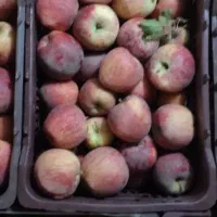 زیر سورت۱۲۰تن