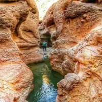 گروه طبیعت گردی