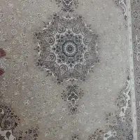 قالی سلیمان|فرش|گرگان, |دیوار