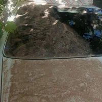 پژو پارس