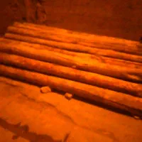 خرید چوب خشک سالم تخریب ذغالی خیس صنوبر