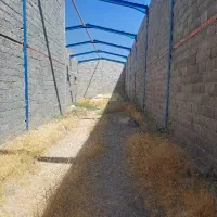 سوله فروشی کرونی سقف زده نشده