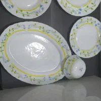 سرویس غذاخوری ۱۲ نفره پارس اپال|ظروف سرو و پذیرایی|چابهار, |دیوار