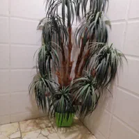 گل مصنوعی زیبا وشیک