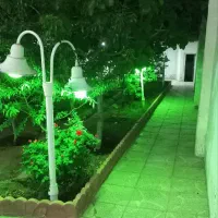 باغچه در میم