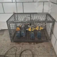 جوشکاری سیار،اهنگری|خدمات پیشه و مهارت|فردیس, ثابتی|دیوار