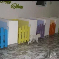 پانسیون حیوانات خانگی(سگ گربه پرنده خرگوش و. )|خدمات پیشه و مهارت|مشهد, الهیه|دیوار