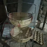 سبد سیب زمینی و پیاز
