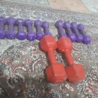 دمبل بانوان|تجهیزات ورزشی|کرمانشاه, |دیوار