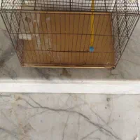 قفس پرنده