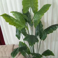 درختچه مصنوعی وارداتی|گل مصنوعی|زاهدان, |دیوار