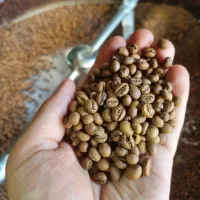 فروش انواع دان قهوه
