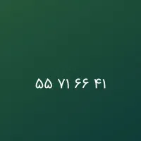 خط تلفن ثابت رند
