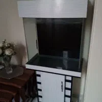 آکواریوم شیشه خم 108 لیتری|ماهی|ری, دولتآباد|دیوار