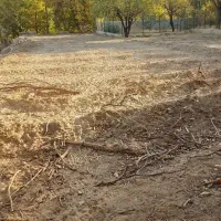 زمین باغ بر جاده|فروش زمین و ملک کلنگی|برزک, |دیوار