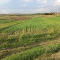 زمین-زراعی-سرعین