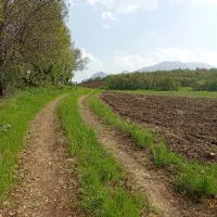 فروش زمین کشاورزی