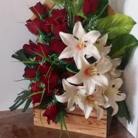 دسته گل  نو نو