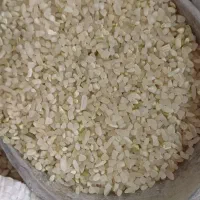 لوبیا چیتی،لوبیا قرمز،خورده برنج|خوردنی و آشامیدنی|شیراز, شهرک صادقیه|دیوار