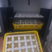 دستگاه جوجه کشی با هچر بالا