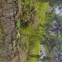 فروشی زمین۲۶۱متر باکاربری مسکونی سند تک برگ|فروش زمین و ملک کلنگی|کلاچای, |دیوار