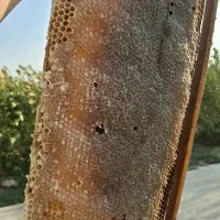 عسل چهل گیاه۱۰۰٪تضمینی
