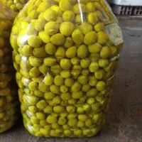 زیتون کنسروی|عمدهفروشی|قم, شهرک خودرو|دیوار