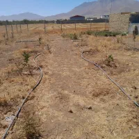 باغ بافنس وابیاری قطره ای بان گلشن اباد