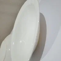 ظرف سرو زیبا