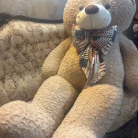خرس تدی خارجی