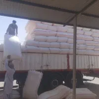 کاه کردستان درجه یک بدون خاک )زاهدان
