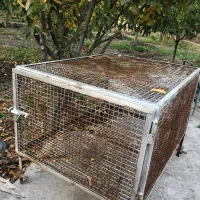 ققس|ماشینآلات صنعتی|خوی, |دیوار