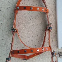 دهنه دست جلو