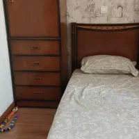 تخت نوجوان به همراه کمد لباس|تخت و سرویس خواب|تهران, سردارجنگل|دیوار