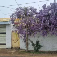 خانه ویلایی دو خواب تمیز با مکانی امن ویو زیبا